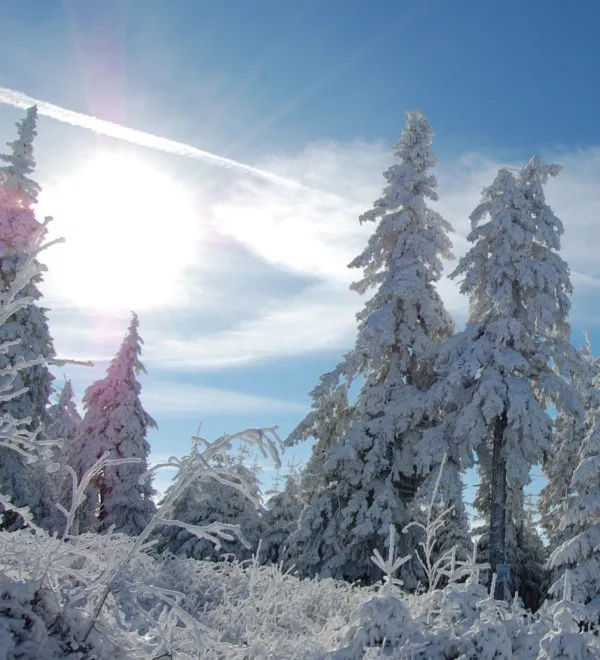 fewo Winterlandschaft